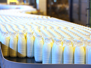 Protein beverage 